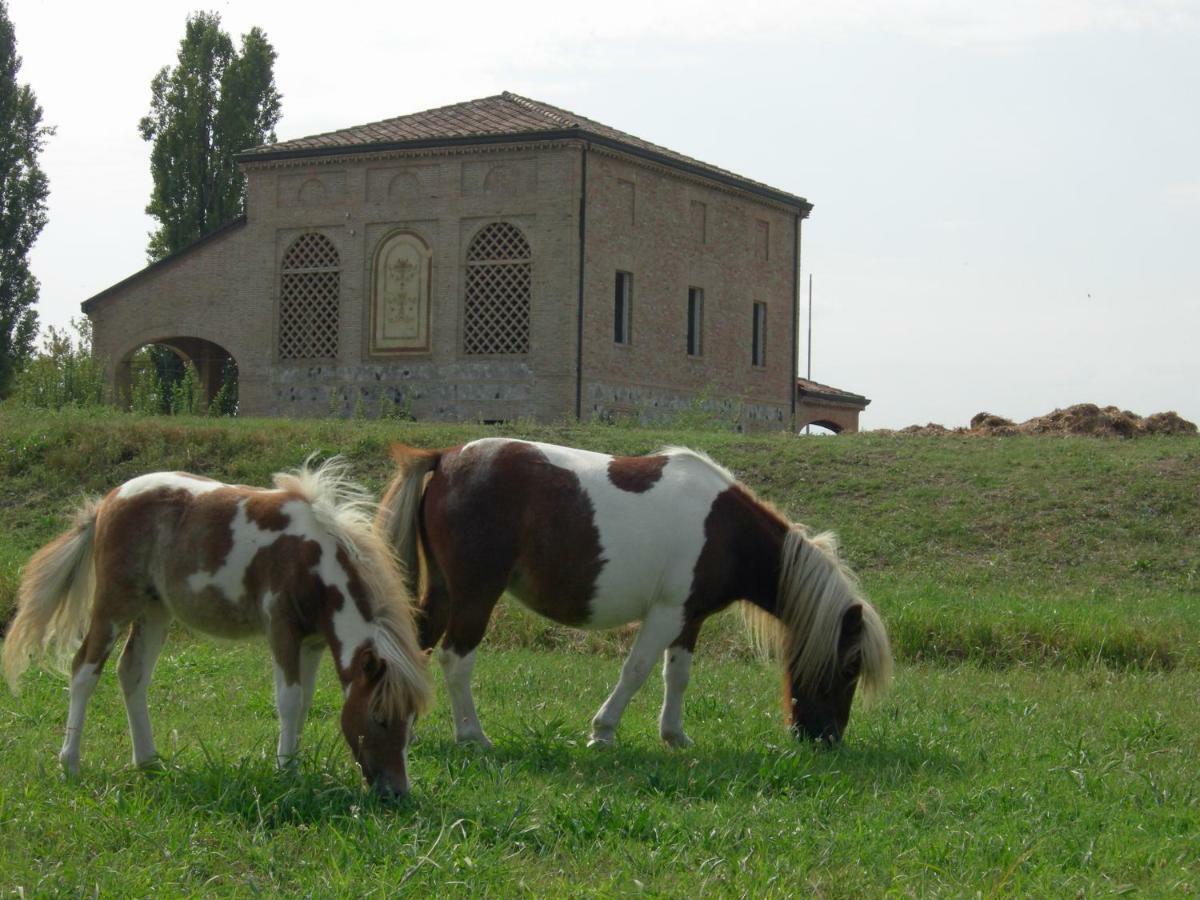 Agriturismo Corte Ghiara Ξενοδοχείο Fontanellato Εξωτερικό φωτογραφία